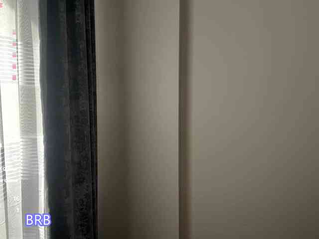 AlyshaJerome webcam