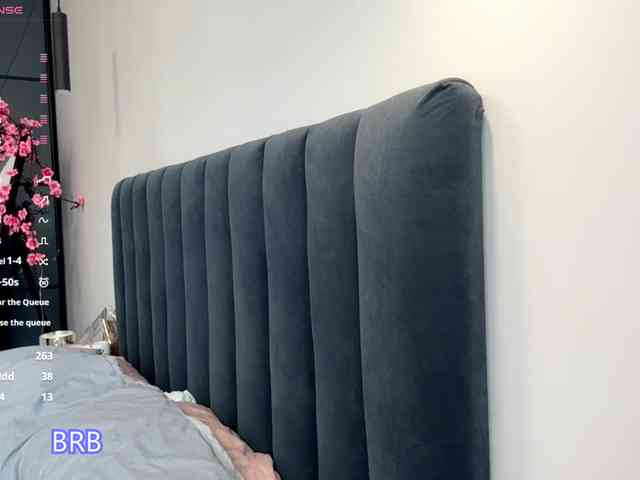 AlyshaJerome webcam