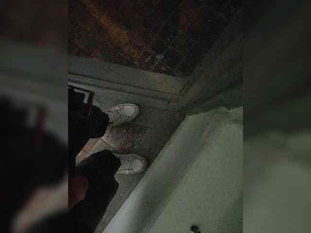 DAVA66661