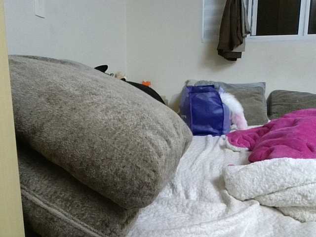 GabriellaManhas live cam on BongaCams
