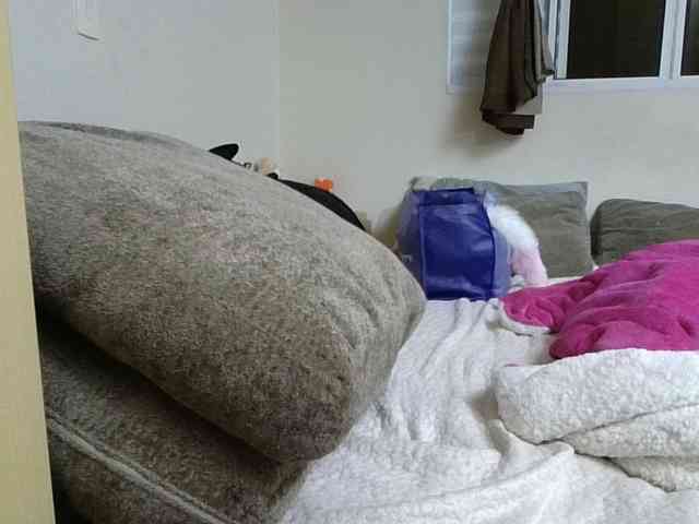 GabriellaManhas webcam