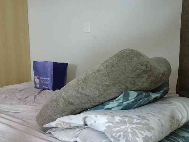 GabriellaManhas webcam