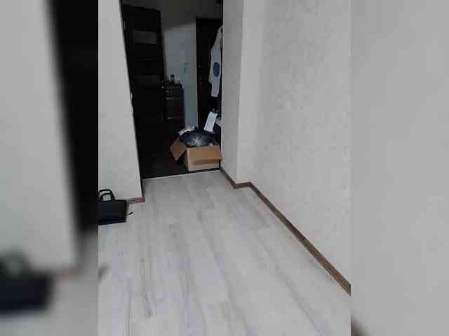 Masehka1 Live Webcam on BongaCams