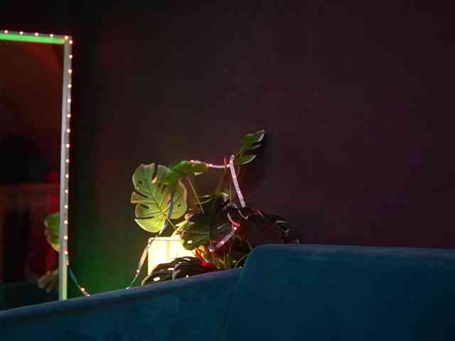 NaomiAmora webcam