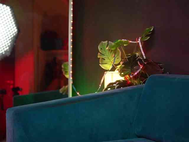 NaomiAmora webcam