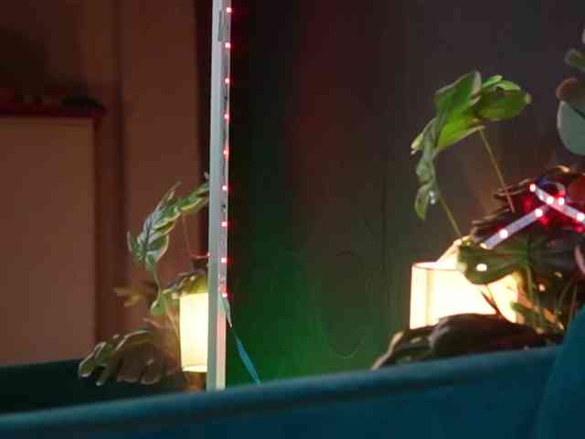 NaomiAmora webcam