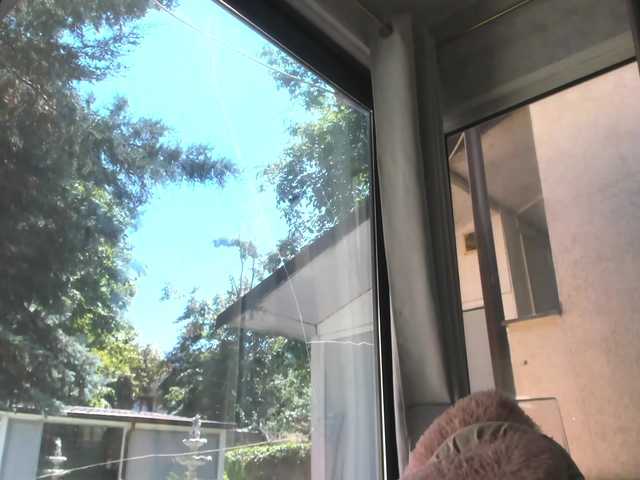 ScarletFlame live webcam show