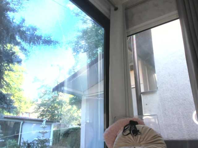 ScarletFlame live cam on BongaCams