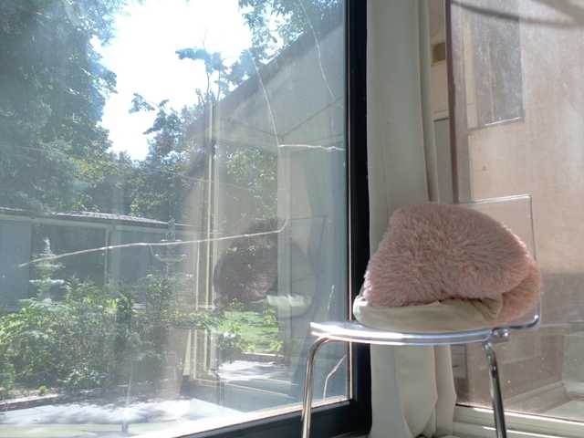 ScarletFlame live cam on BongaCams
