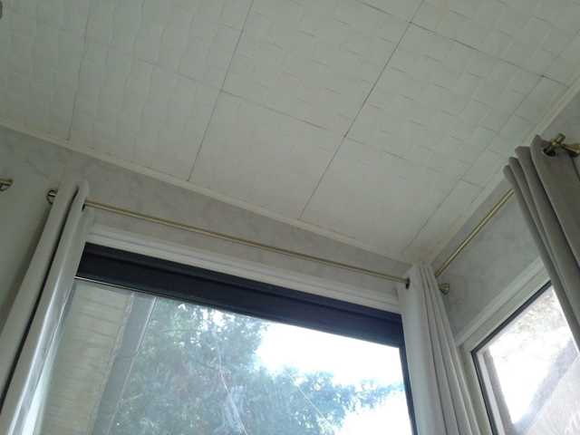 ScarletFlame live cam on BongaCams