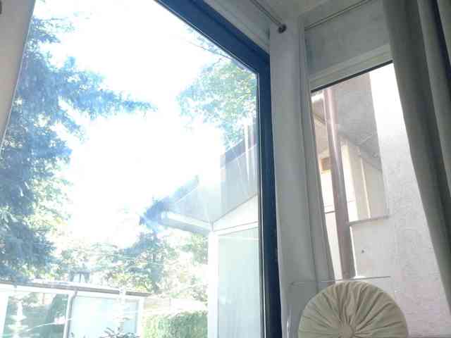 ScarletFlame webcam