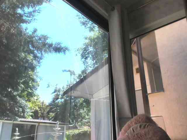 ScarletFlame webcam