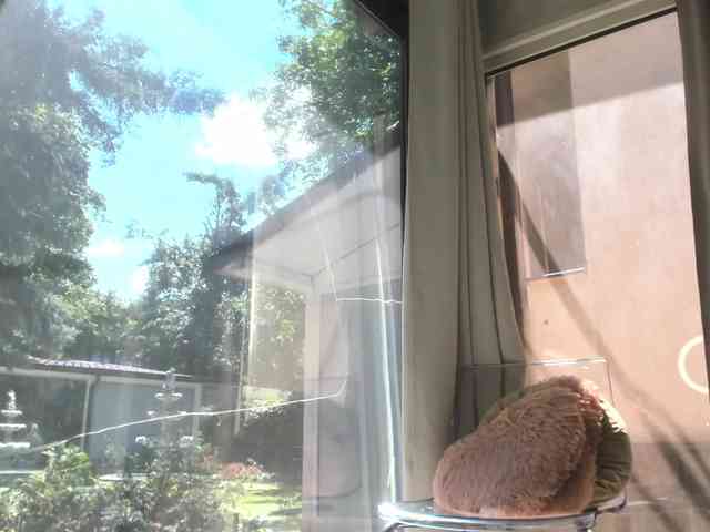 ScarletFlame webcam