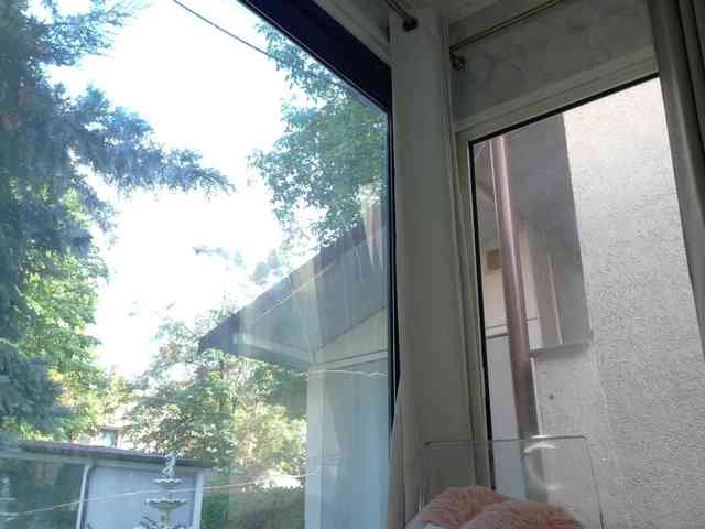 ScarletFlame webcam