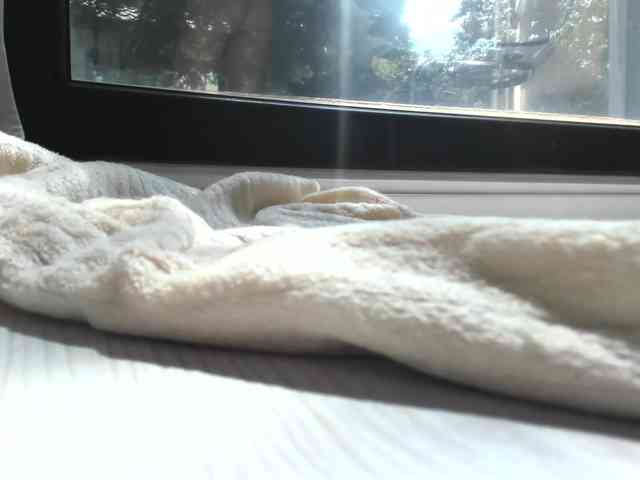 ScarletFlame webcam
