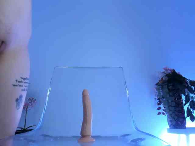 ScarletFlame webcam