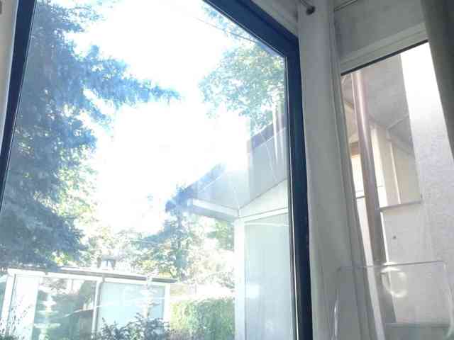 ScarletFlame webcam