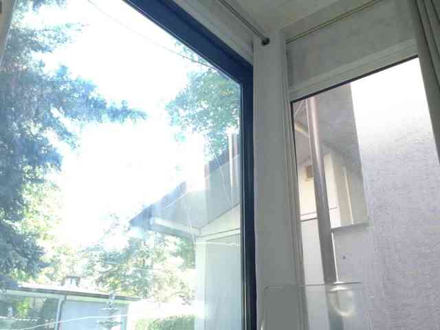 ScarletFlame webcam