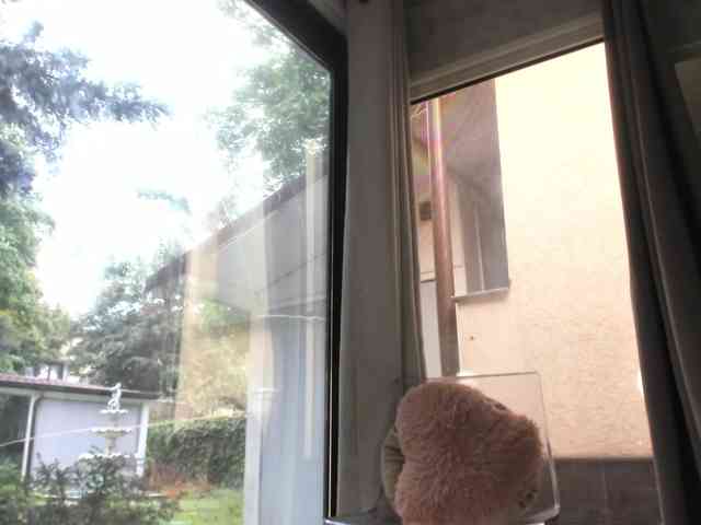ScarletFlame webcam