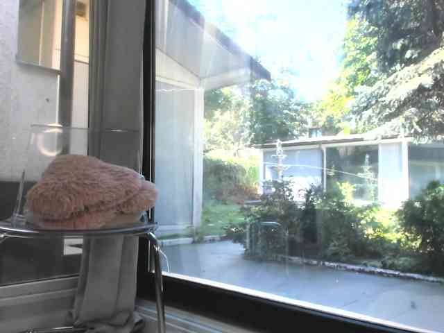 ScarletFlame webcam