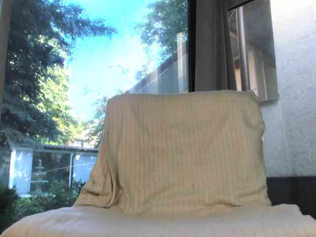 ScarletFlame webcam
