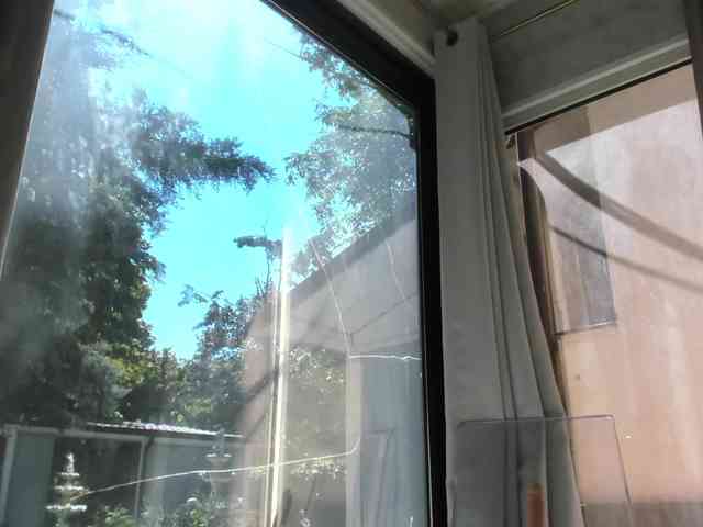 ScarletFlame webcam