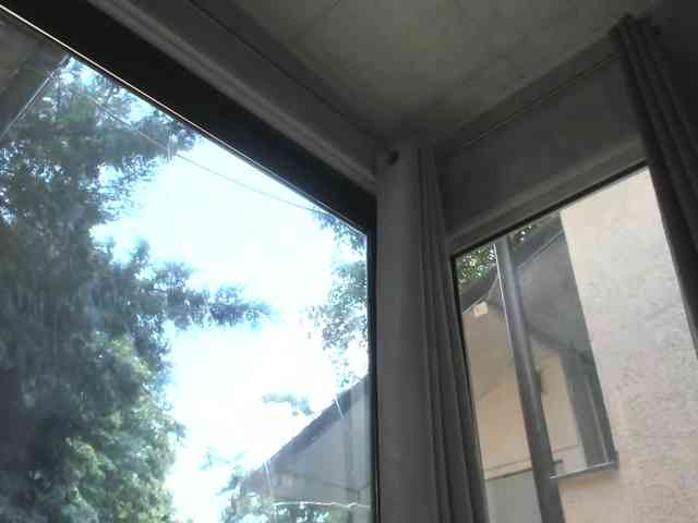 ScarletFlame webcam