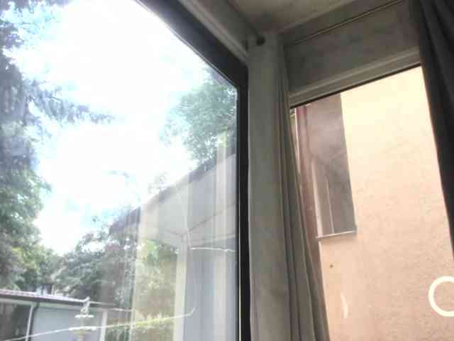 ScarletFlame webcam