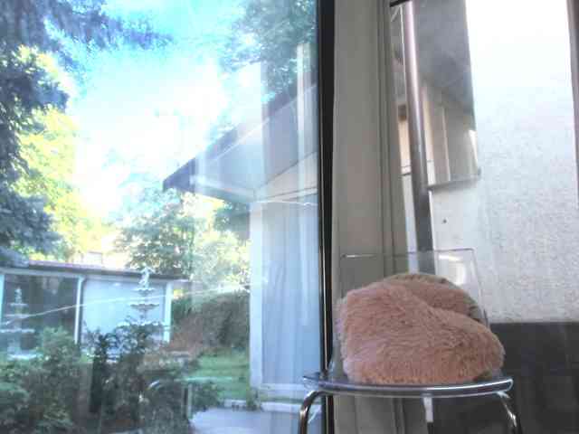 ScarletFlame webcam