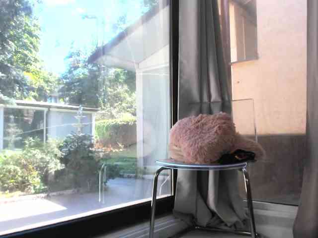 ScarletFlame webcam