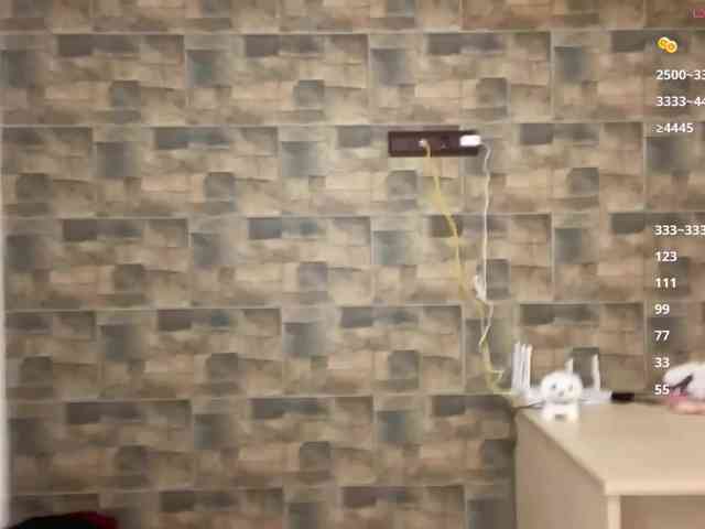 KalaWeingartner webcam