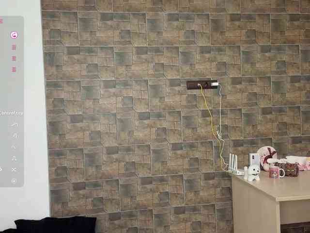 KalaWeingartner webcam