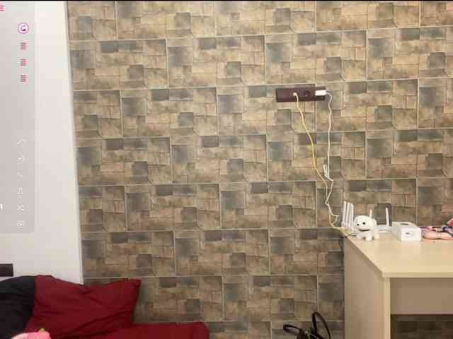 KalaWeingartner webcam