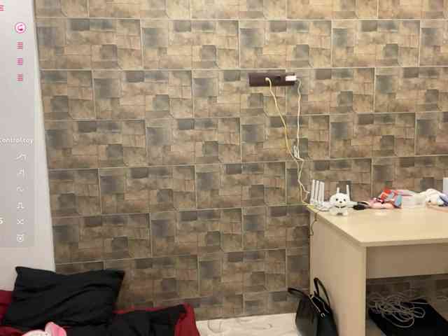 KalaWeingartner webcam