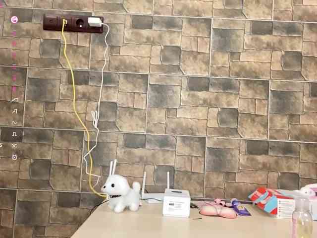 KalaWeingartner webcam