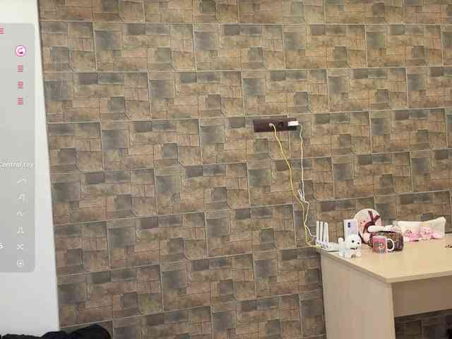 KalaWeingartner webcam