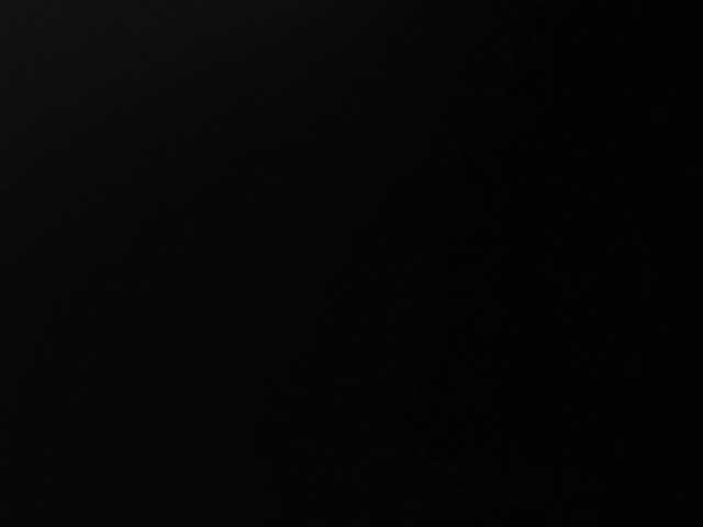 GingerAve Live Cam and Statistics on UnifiedCams