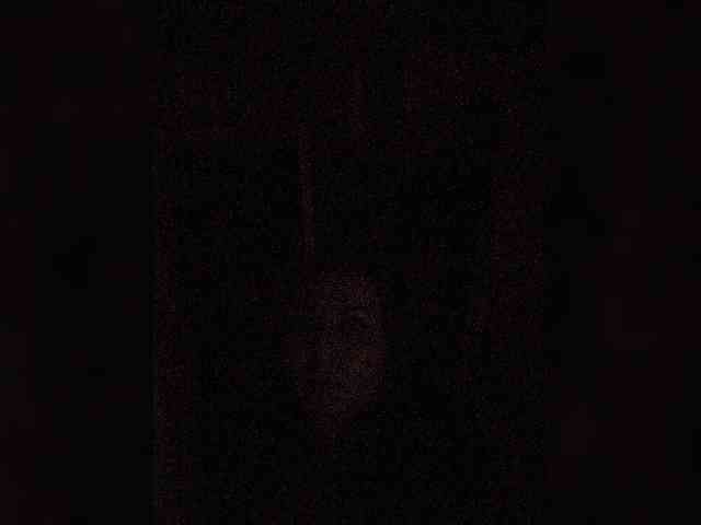 OpenGirl webcam