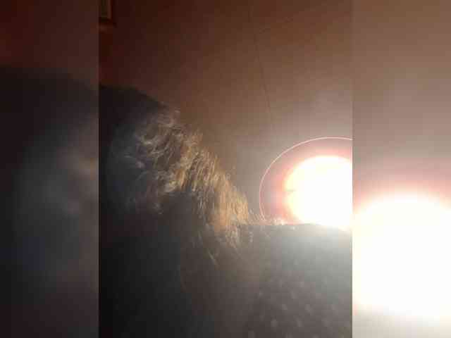 OpenGirl