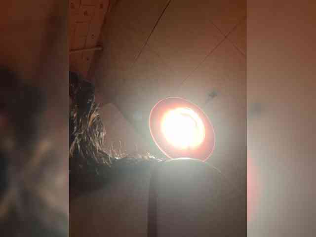 OpenGirl webcam