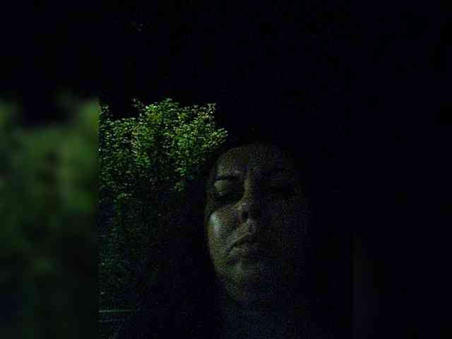 OpenGirl webcam