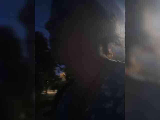 OpenGirl webcam