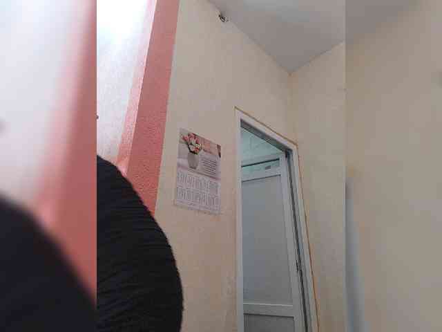 OpenGirl webcam
