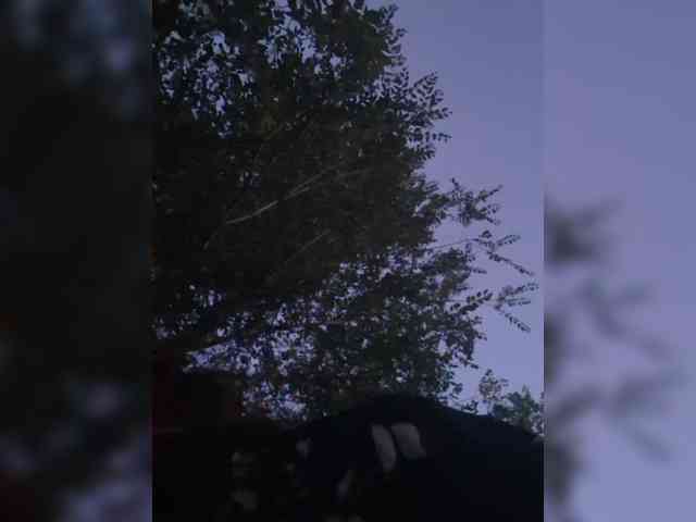 OpenGirl webcam