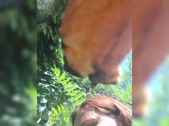 OpenGirl webcam