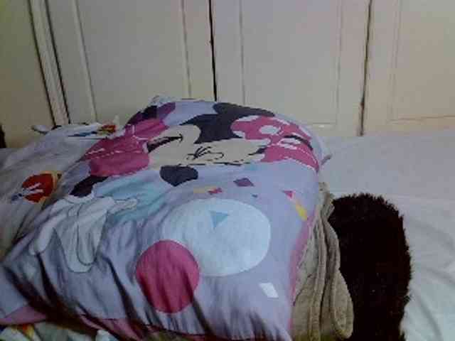 desirdoll23 webcam