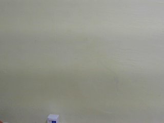 Riccara's Live Webcam