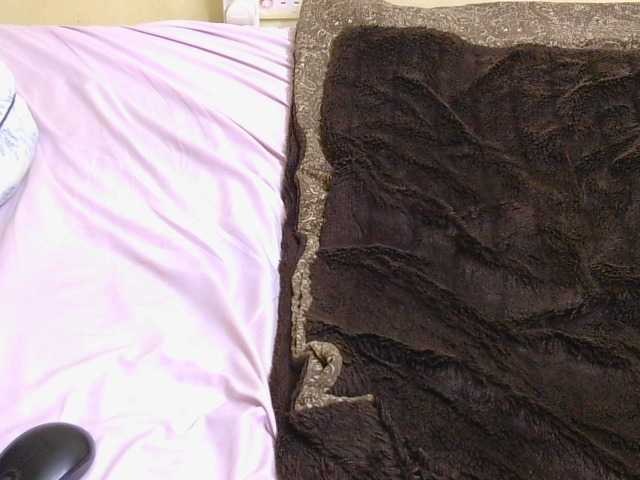 Riccara