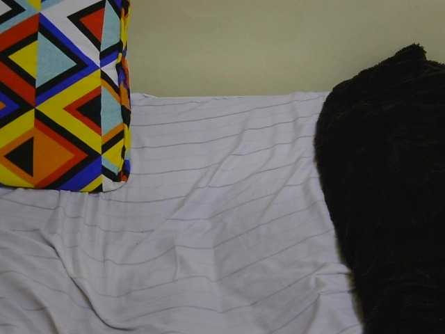 Riccara live cam on BongaCams
