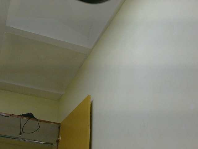 Riccara live cam on BongaCams
